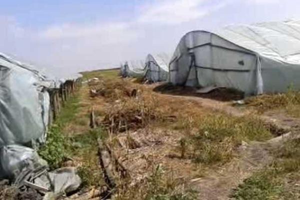 На Тернопольщине ликвидирована группировка, занимавшаяся работорговлей На Тернопольщине ликвидирована группировка, занимавшаяся работорговлей