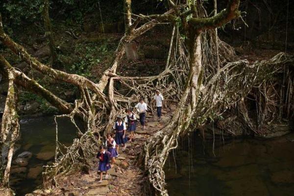 Фотоподборка 25-ти невероятных мостов Фотоподборка 25-ти невероятных мостов