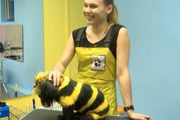 В российском Екатеринбурге работает салон по покраске животных В российском Екатеринбурге работает салон по покраске животных