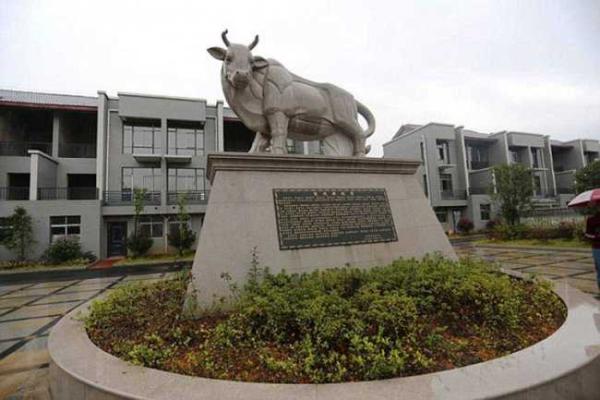 Китайский миллионер подарил дома всем жителям деревни, в которой вырос Китайский миллионер подарил дома всем жителям деревни, в которой вырос