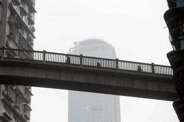 Удивительный мост между домами в Китае Удивительный мост между домами в Китае