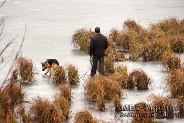 На Волыни найдено обезглавленное тело неизвестного мужчины На Волыни найдено обезглавленное тело неизвестного мужчины