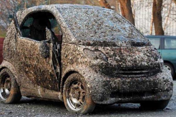 Автомобиль, пролежавший в море 7 лет, продали на eBay