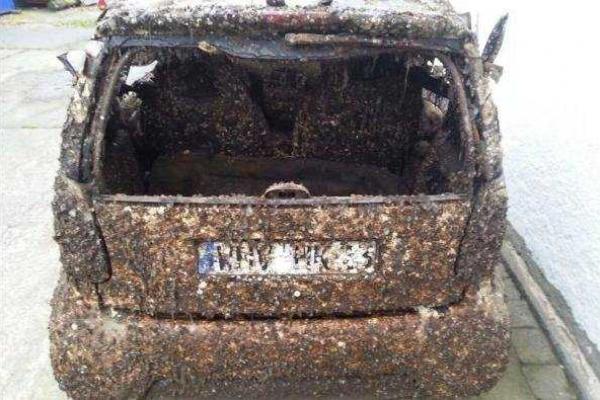 Автомобиль, пролежавший в море 7 лет, продали на eBay