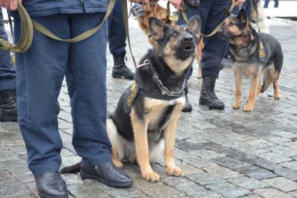 В Харькове ежедневно на охрану порядка будут выходить дополнительно почти 150 нарядов