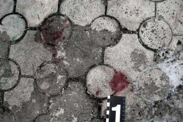 На Донетчине "по горячим следам" раскрыто убийство пенсионера На Донетчине "по горячим следам" раскрыто убийство пенсионера