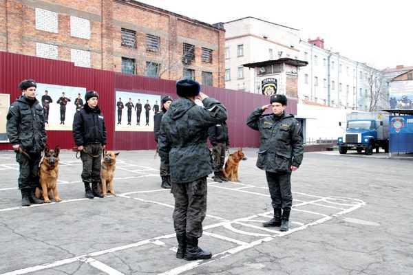 Кинологи со своими питомцами провели занятия и готовы выполнять задачи в зоне АТО Кинологи со своими питомцами провели занятия и готовы выполнять задачи в зоне АТО