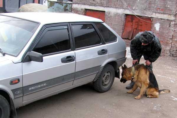 Кинологи со своими питомцами провели занятия и готовы выполнять задачи в зоне АТО Кинологи со своими питомцами провели занятия и готовы выполнять задачи в зоне АТО