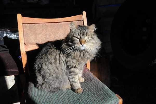 Нацгвардейцы на передовой: Здесь отношения даже больше чем человеческие, даже больше чем братские