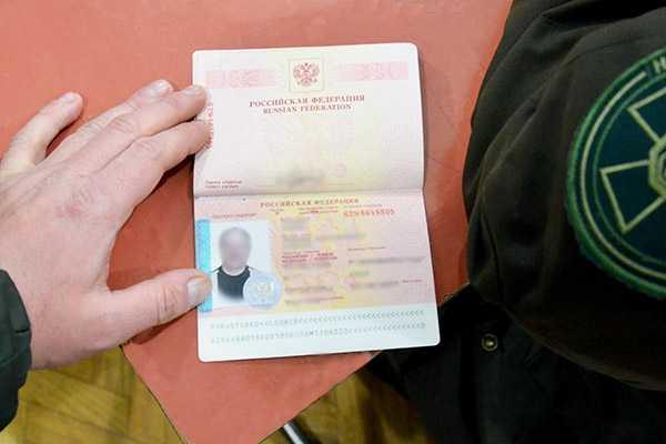 Нацгвардейцы обнаружили в тылу оборудованный радиоцентр диверсантов Нацгвардейцы обнаружили в тылу оборудованный радиоцентр диверсантов