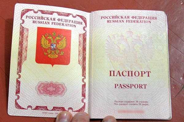 Нацгвардейцы обнаружили в тылу оборудованный радиоцентр диверсантов Нацгвардейцы обнаружили в тылу оборудованный радиоцентр диверсантов