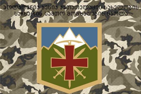 Украинские военные совершенствовали практические навыки в горах Грузии