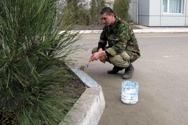 Бойцы Нацгвардии приняли участие в весеннем субботнике