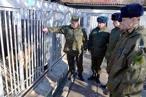 Кинологи, вернувшиеся из зоны АТО, проанализировали выполнение служебно-боевых задач Кинологи, вернувшиеся из зоны АТО, проанализировали выполнение служебно-боевых задач