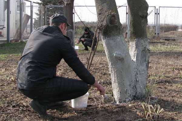 Бойцы Нацгвардии приняли участие в весеннем субботнике