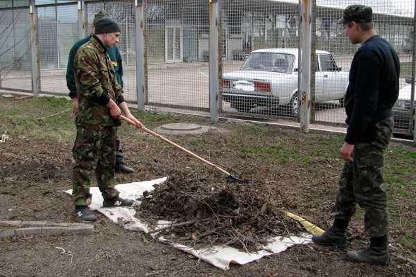 Бойцы Нацгвардии приняли участие в весеннем субботнике