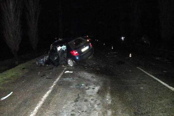 Под Николаевом иномарка протаранила автобус: итог печален Под Николаевом иномарка протаранила автобус: итог печален