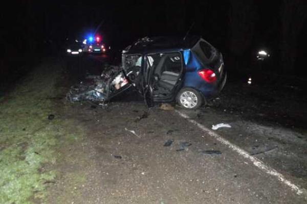 Под Николаевом иномарка протаранила автобус: итог печален Под Николаевом иномарка протаранила автобус: итог печален