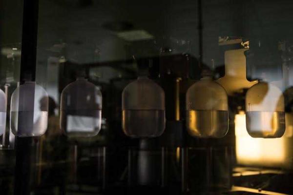 Марина Порошенко посетила открытие инновационного производства на "Фармацевтической фирме "Дарница"