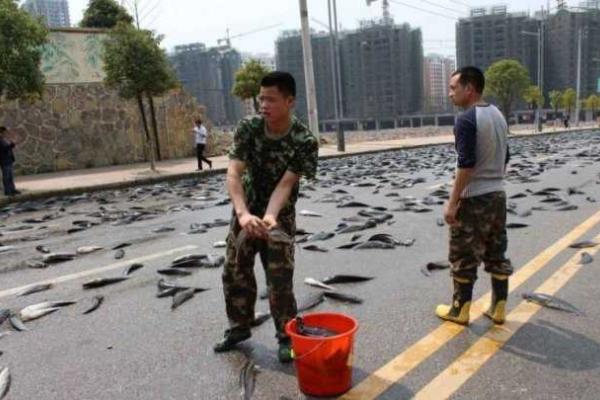 "Рыбное" ДТП на дороге в Китае "Рыбное" ДТП на дороге в Китае