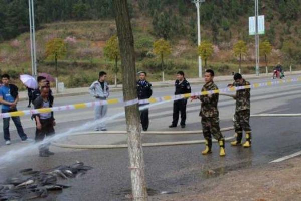 "Рыбное" ДТП на дороге в Китае "Рыбное" ДТП на дороге в Китае