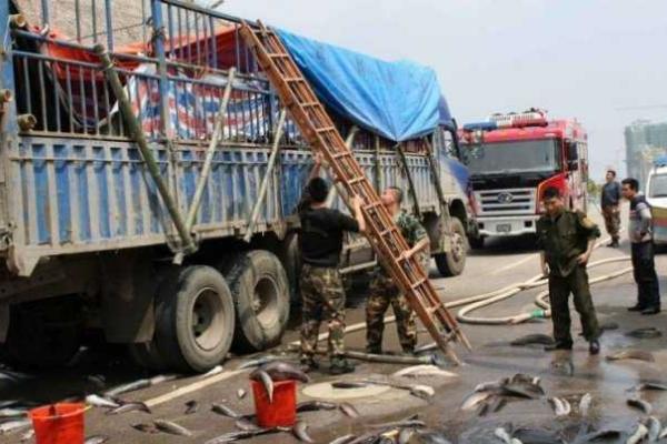 "Рыбное" ДТП на дороге в Китае "Рыбное" ДТП на дороге в Китае