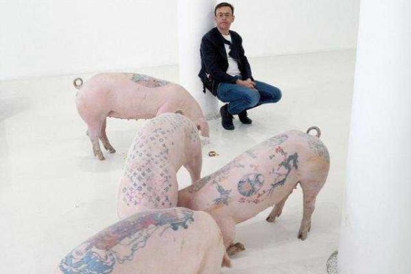 Для мастера тату из Бельгии моделями служат... свиньи