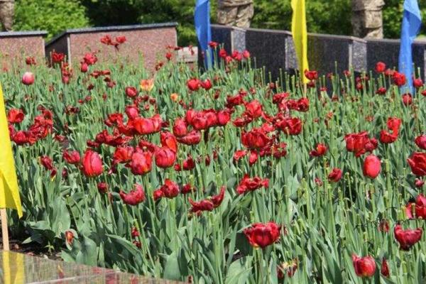 Донетчина: на горе Артема провели торжественное мероприятие, посвященное Дню Победы