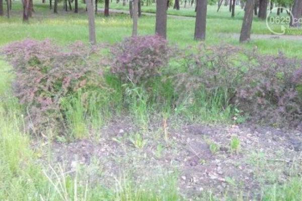 Любимый парк мариупольцев приходит в запустение Любимый парк мариупольцев приходит в запустение