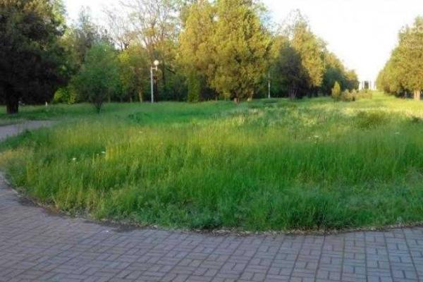Любимый парк мариупольцев приходит в запустение Любимый парк мариупольцев приходит в запустение