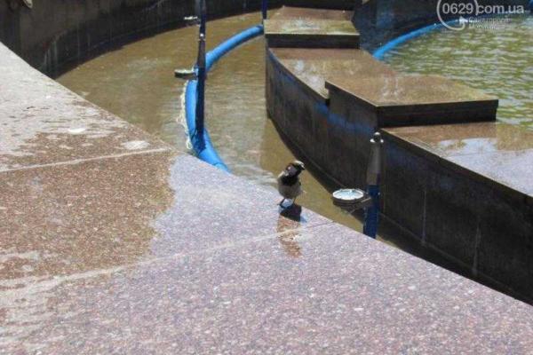 Назло войне: в центре Мариуполя включили отреставрированный фонтан 