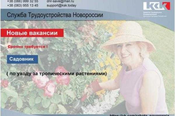 "Служба трудоустройства Новоросии": Работы всякие нужны, работы всякие важны "Служба трудоустройства Новоросии": Работы всякие нужны, работы всякие важны