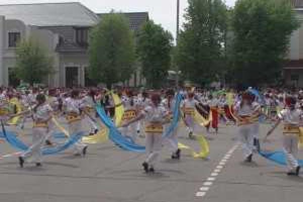 На Луганщине дети провели масштабный флешмоб с установлением рекорда Украины