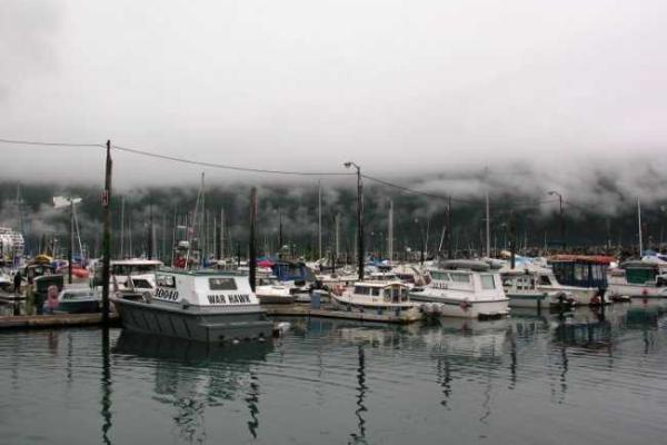 На Аляске существует город, население которого живет в одной высотке На Аляске существует город, население которого живет в одной высотке