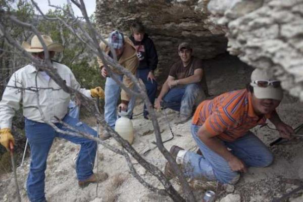 В штате Техас ежегодно проводят Фестиваль гремучих змей В штате Техас ежегодно проводят Фестиваль гремучих змей