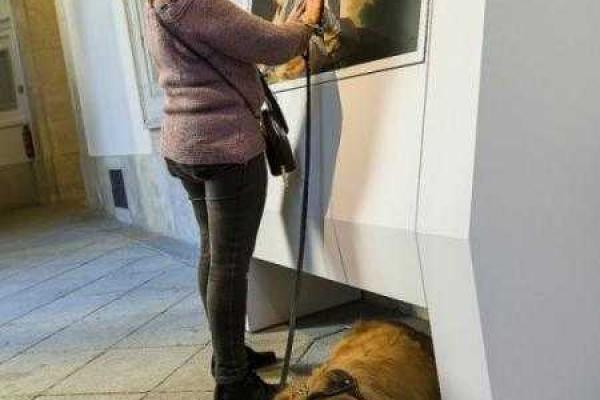 В Мадриде начала работу выставка картин для незрячих людей В Мадриде начала работу выставка картин для незрячих людей