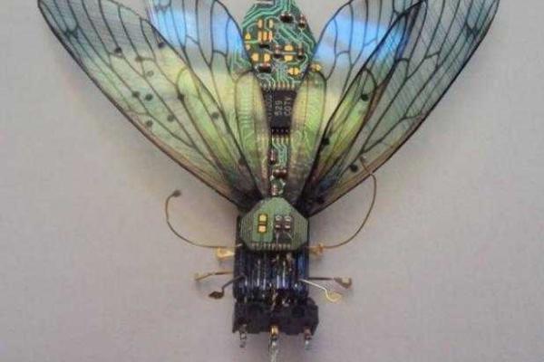 Художница создает насекомых из электронных гаджетов