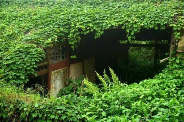 Природа медленно поглощает заброшенную китайскую деревню