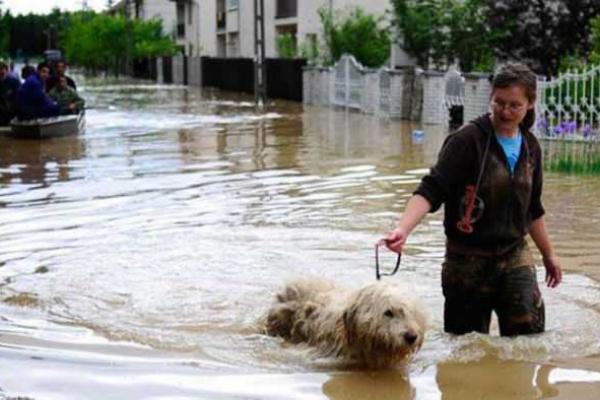 Шокирующая фотоподборка: трагические последствия наводнения в Тбилиси