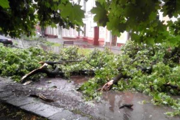 В Ровно непогода заставила автомобили и людей "прикинуться" кораблями В Ровно непогода заставила автомобили и людей "прикинуться" кораблями