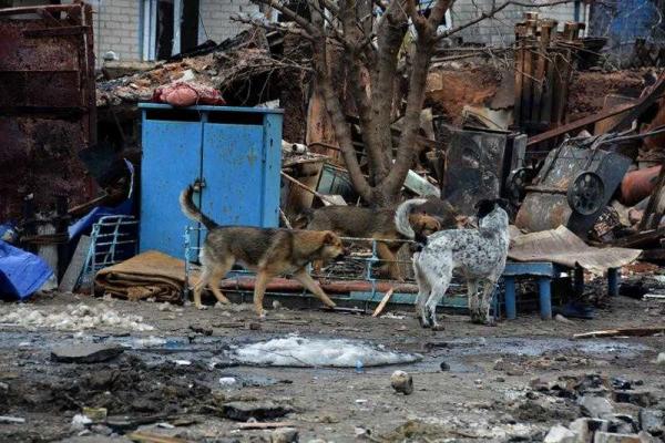 Впечатления московского блогера после путешествия в полумертвый город Дебальцево  Впечатления московского блогера после путешествия в полумертвый город Дебальцево