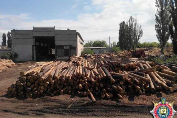 На Донетчине правоохранители ведут расследование фактов незаконной вырубки леса