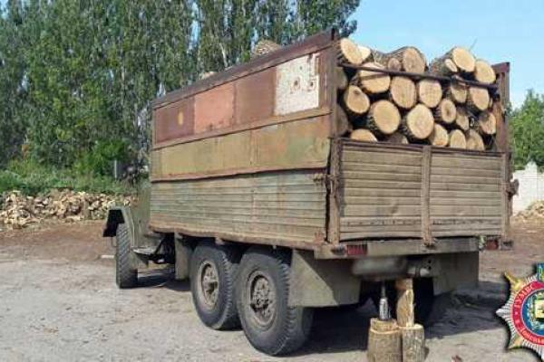 На Донетчине правоохранители ведут расследование фактов незаконной вырубки леса