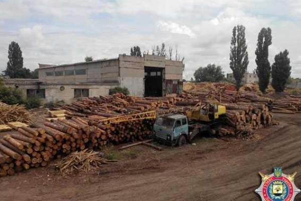 На Донетчине правоохранители ведут расследование фактов незаконной вырубки леса