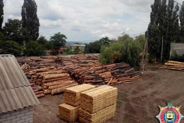 На Донетчине правоохранители ведут расследование фактов незаконной вырубки леса