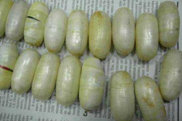 СБУ перекрыла канал поставок в Украину кокаина из Латинской Америки