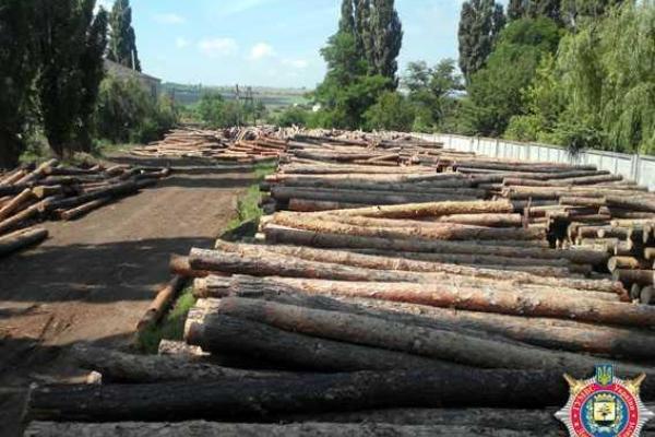 На Донетчине правоохранители ведут расследование фактов незаконной вырубки леса