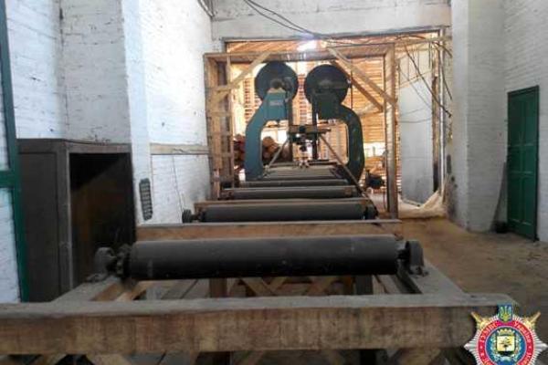 На Донетчине правоохранители ведут расследование фактов незаконной вырубки леса