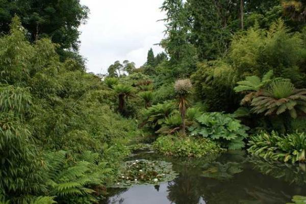Затерянные сады Хэлиган: известнейший парк Великобритании