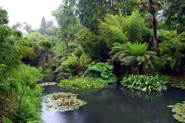 Затерянные сады Хэлиган: известнейший парк Великобритании